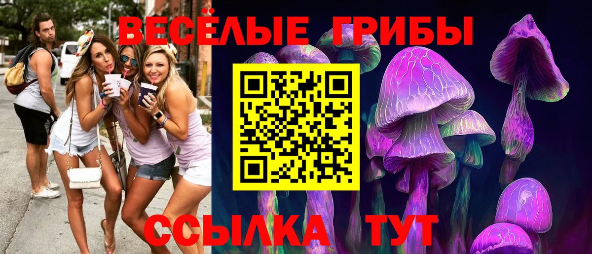 Вязьма  Псилоцибиновые грибы Cubensis  Псилоцибиновые грибы Cubensis  Вход с VPN 