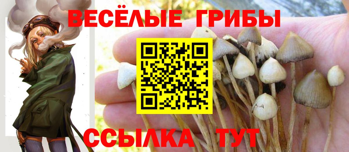 Псилоцибиновые грибы ЛСД Вязьма